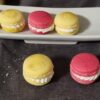 Macaron XL