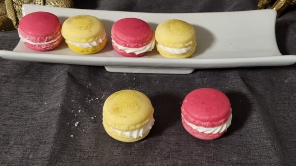 Macaron XL