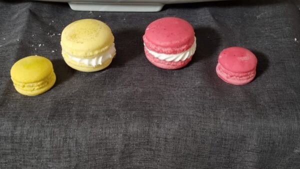 Macaron XL
