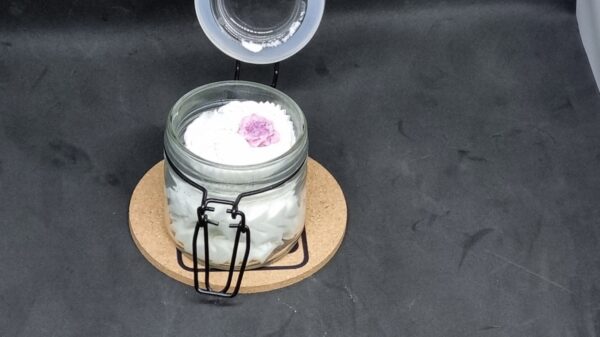 Le Petit  Gourmand
